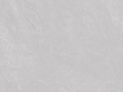 產(chǎn)品編號:DF75019